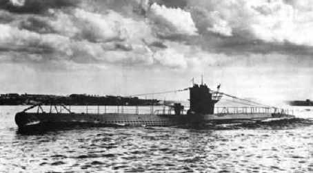 u100.jpg
